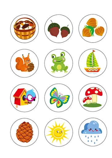 Милі звірята. Білочка (+ наліпки) - Одноліткова О.В. - фото 6