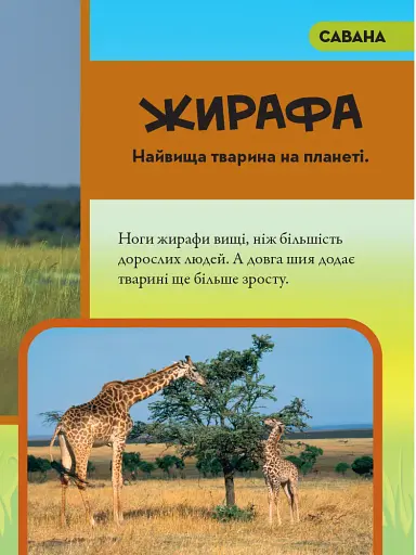 National Geographic. Моя перша енциклопедія. Тварини - фото 3