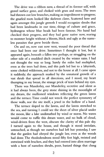 Rebecca - фото 3