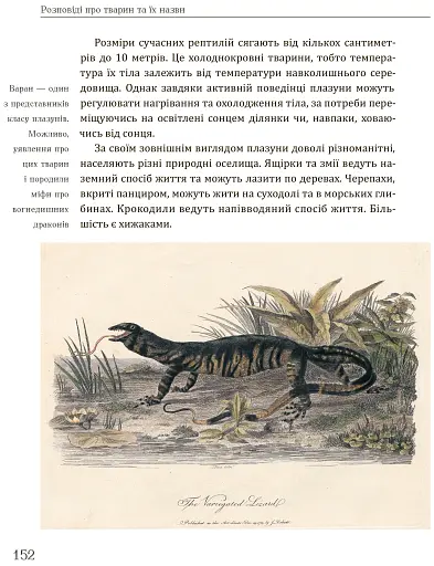 Розповіді про тварин та їх назви - фото 10