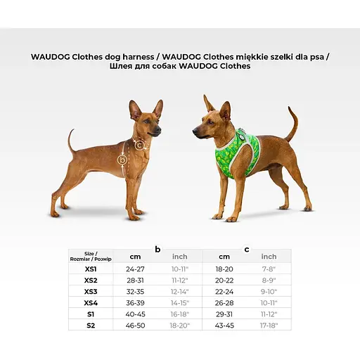 Шлея для собак Waudog Clothes м'яка з QR паспортом, малюнок "Літо", XS4 - фото 5