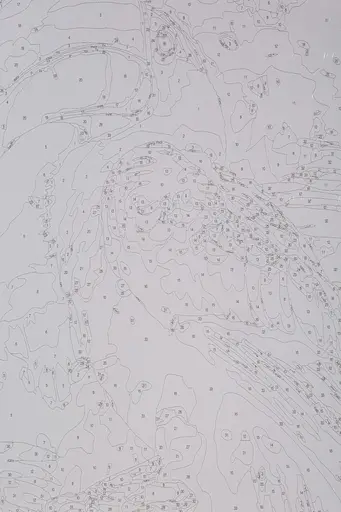 Набор для росписи по номерам "Какада" 40*50 см, IDEA2-GX47438, ТМ "99IDEAS" - фото 6