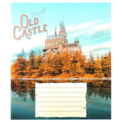 Зошит загальний "Старі замки" Leader 048-600179L-1 у лінію, 48 аркушів (959060) - фото 1