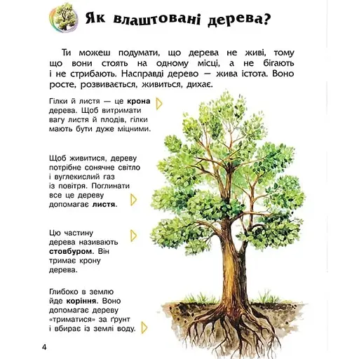 Энциклопедия дошкольника: Лес - Каспарова Юлия - фото 3