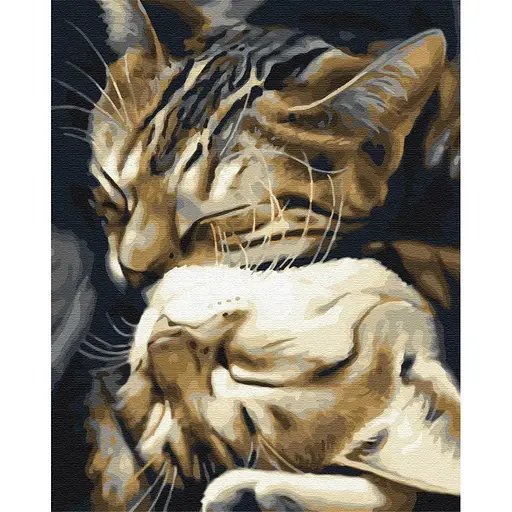 Картина по номерам Спящие котики Brushme 40x50 см разноцветная 000277720