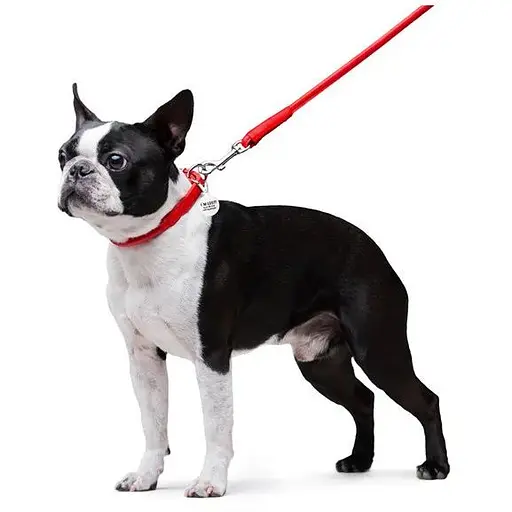 Повідець для собак Waudog Glamour шкіряний круглий, червоний - фото 5