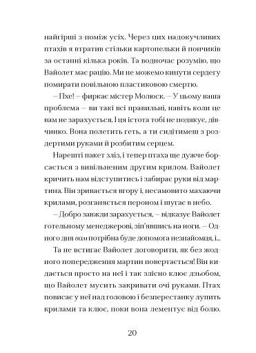 Фестерґрімм. Книга 4 - фото 6