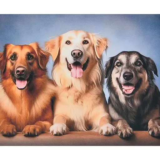 Алмазная мозаика Strateg ПРЕМИУМ Три верных друга размером 40х50 см (SK88269) - фото 1