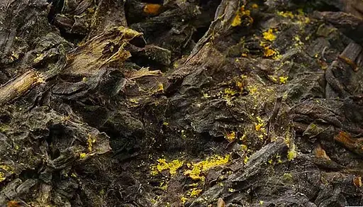 Хэй Ча Погеб тролля 2015 г. - 208 г - фото 5