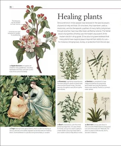 A History of Magic. Witchcraft and the Occult - фото 5