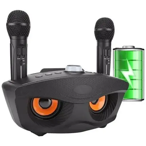 Колонка SDL караоке SDRD SD-306 на два мікрофони - фото 1