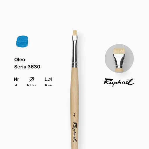 Кисть щетина плоская Raphael Oleo, №4, короткая ручка - фото 2
