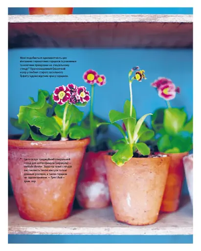 Шелфі - фото 11