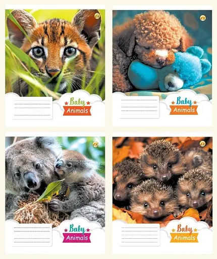 Зошити учнівські 12 аркушів коса лінія 25 штук в упаковці ТЕ43107