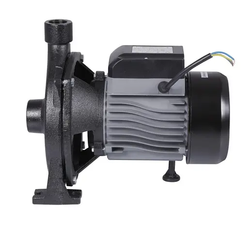 Насос поверхностный центробежный Thermo Alliance CPm190/1 - фото 2