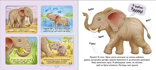 Познайомся і погладь: Тварини світу - Ірина Потаніна (557590) - фото 4