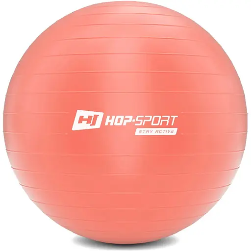 Фитбол Hop-Sport 55см розовый + насос 2020