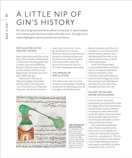 Gin. A Tasting Course - фото 7