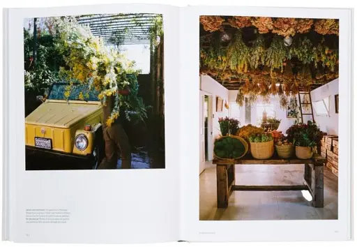 The Avant Gardens - фото 9