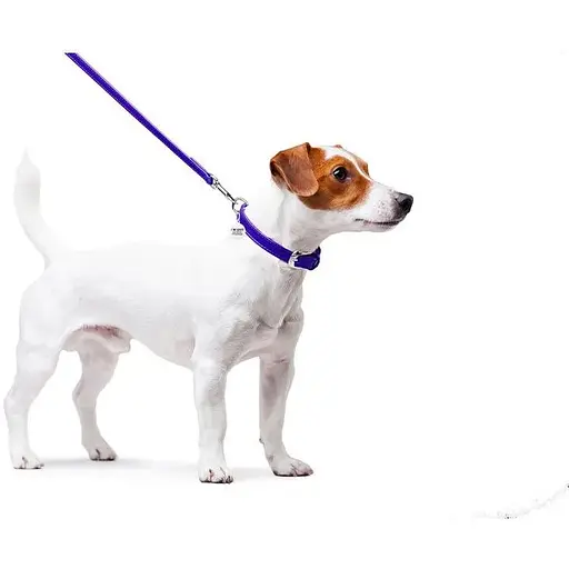 Повідець для собак Waudog Glamour шкіряний, фіолетовий - фото 4