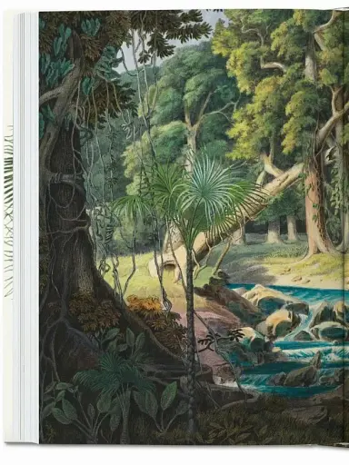 The Book of Palms - фото 10