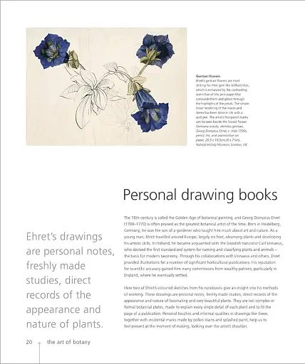 Botany for the Artist - фото 4