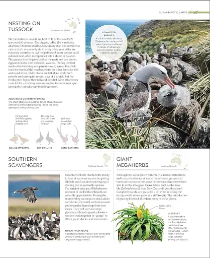 Habitats - фото 3