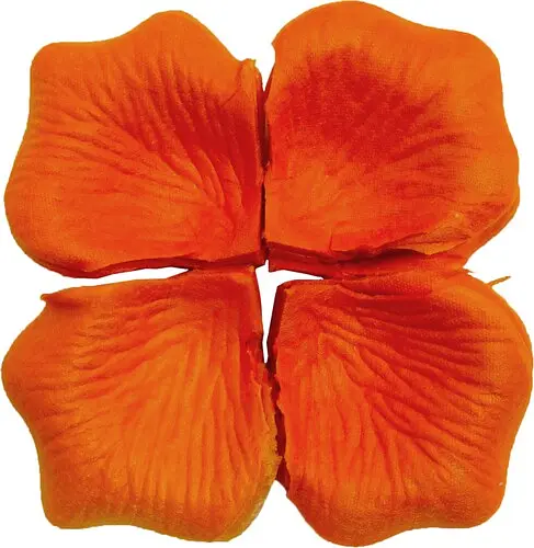 Лепестки роз - фото 1