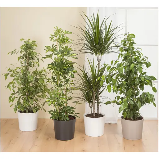 Кашпо для квітів Scheurich 883 кераміка 22 см сіро-коричневий (4050804000344) - фото 2