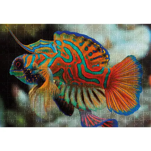 Пазли тришарові Interdruk Барвиста природа Мандаринка 250 шт. (385574) - фото 4