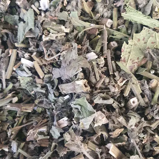 100 г котівник/котяча м'ята трава сушена - свіжий урожай