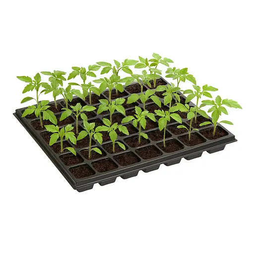 Кассета для рассады на 35 ячеек, Господар Черный 87846 - фото 2