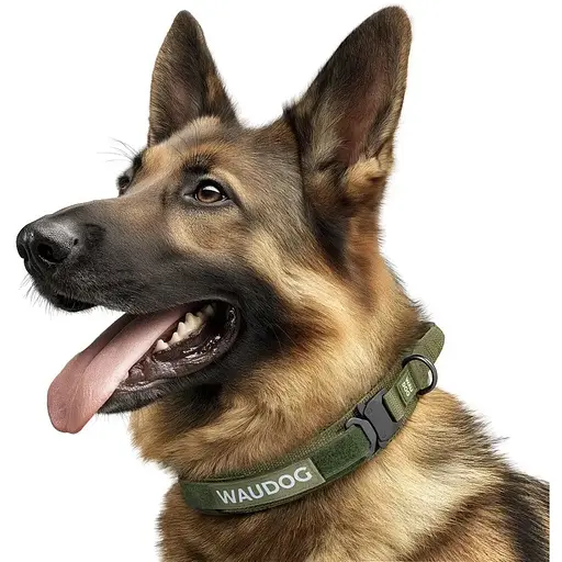 Ошейник для собак Waudog с ручкой тактический, металлический фастекс XL, Ш 50 мм, Д 53-62, хаки - фото 4