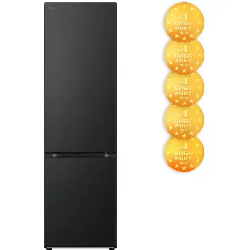 Холодильник LG GW B509FT7W (7125141) - фото 2