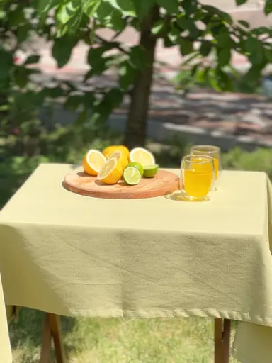 Водоотталкивающая cкатерть Оливковый однотон 240х120 см (+ 6 салфеток 30х40) - фото 4