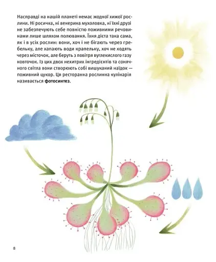 Хто такі хижі рослини? - фото 4