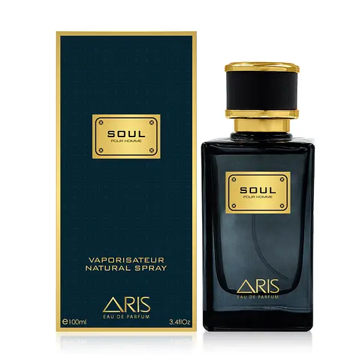 Парфумована вода ARIS Soul pour homme 100 мл
