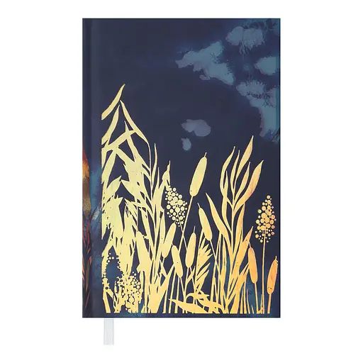 Ежедневник недатированный Buromax Only A6 синий (BM.2627-02)