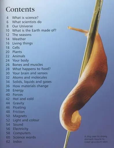 First Encyclopedia of Science - фото 2