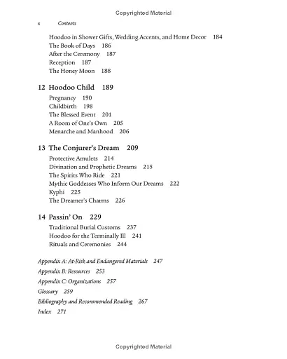 Sticks, Stones, Roots Bones: Hoodoo, Mojo Conjuring with Herbs - Stephanie Rose Bird - фото 5