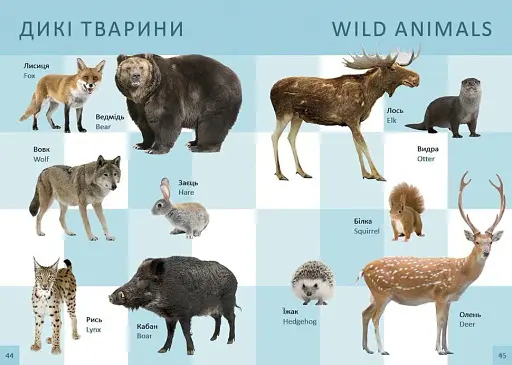 Перша книга малюка - фото 2