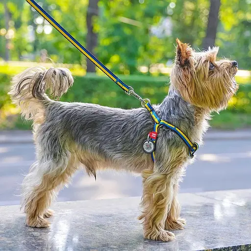 Повідець для собак Waudog Nylon нейлоновий, малюнок "Colors of freedom", XS - фото 3