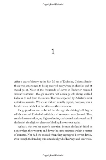 Throne of Glass - фото 11