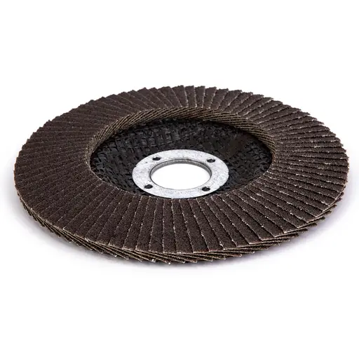 Диск шлифовальный лепестковый Specialist+ Basic 125 ZK80 (250-51208) - фото 2