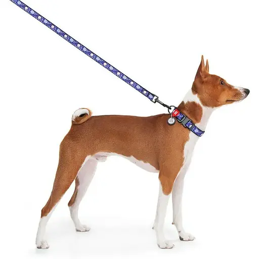 Повідець для собак Waudog Nylon нейлоновий, малюнок "Рік та Морті 2", L-XXL - фото 4