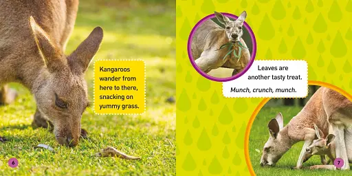 Explore My World: Kangaroos - фото 3