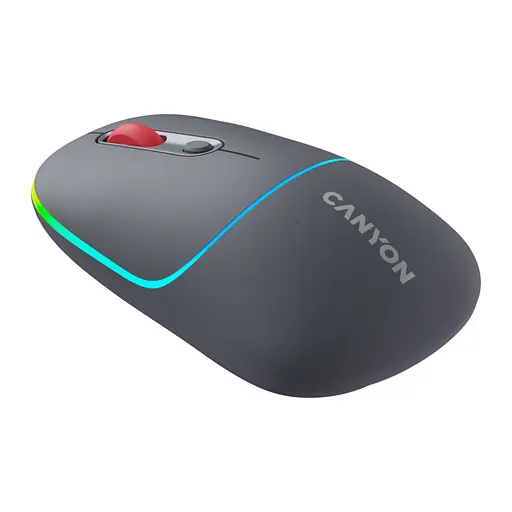 Мышка Canyon MW-22 Dual Band RGB Wireless Dark Grey (CNS-CMSW22DG) - фото 2