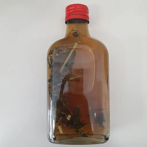 Настоянка на пагонах пасліну 200 мл - фото 2