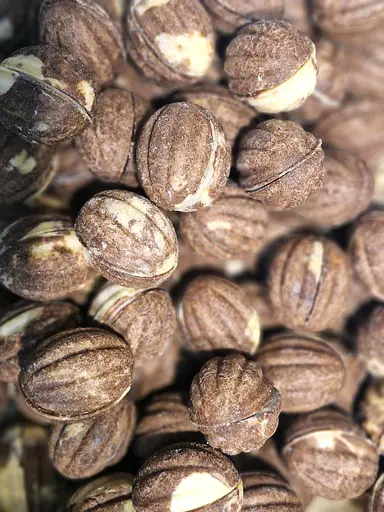 Набор орехов Орео 12 шт. в упаковке - фото 3