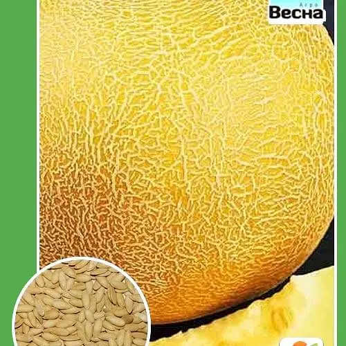 Дыня "Медовый аромат" ТМ "Весна" 1.5г (10138) - фото 1